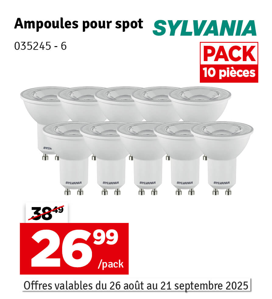 Ampoules pour spot 10 pièces